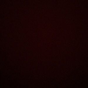 Meet your Posher, Nina